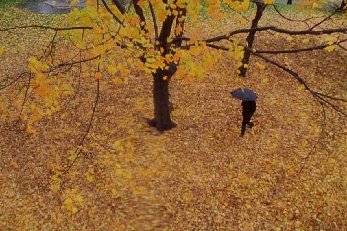 Кадры из фильма «Осень в Нью-Йорке»
