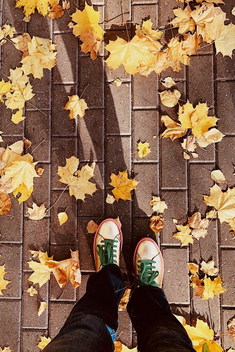 Октябрь. Осень. Золотые листья.
