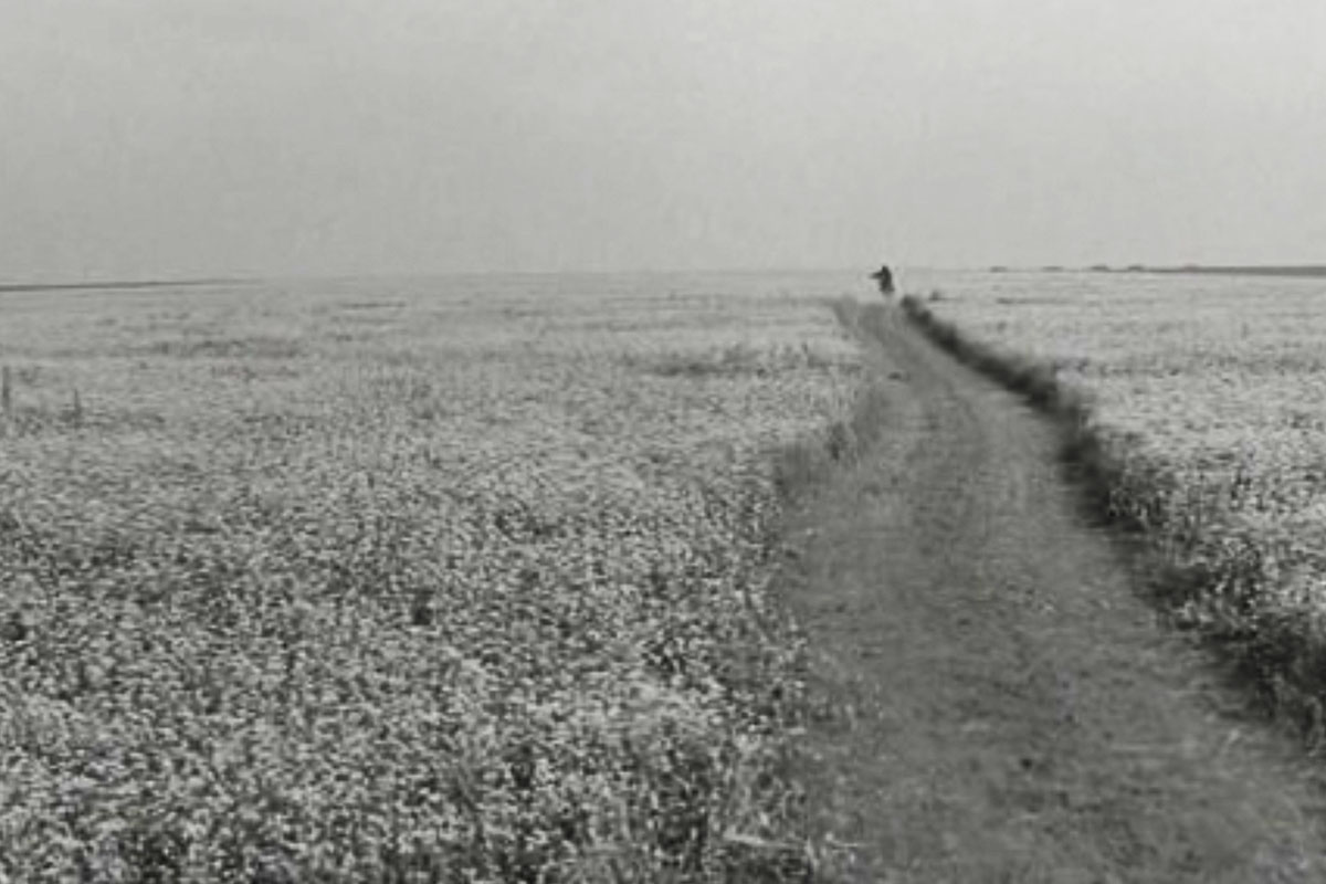 Кадр из фильма «Андрей Рублёв» | FEELLINI — ваш проводник в мире кино